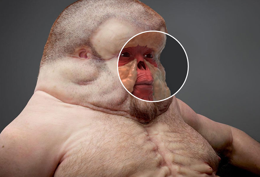 graham-body-survive-car-crash-road-safety-victorian-government-patricia-piccinini-17 graham-body-survive-car-crash-road-safety-victorian-government-patricia-piccinini-17
