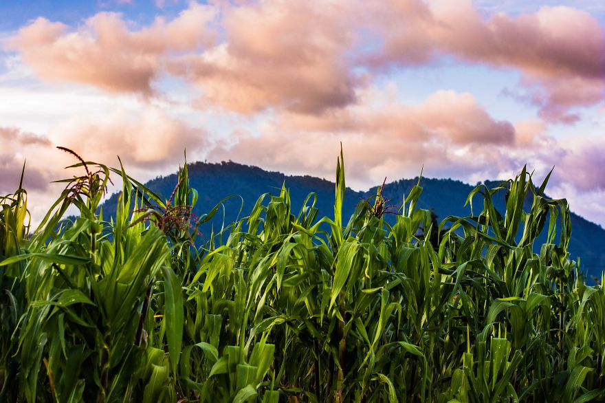 Guatemala Through A 13-Year-Old Eyes Guatemala Through A 13-Year-Old Eyes