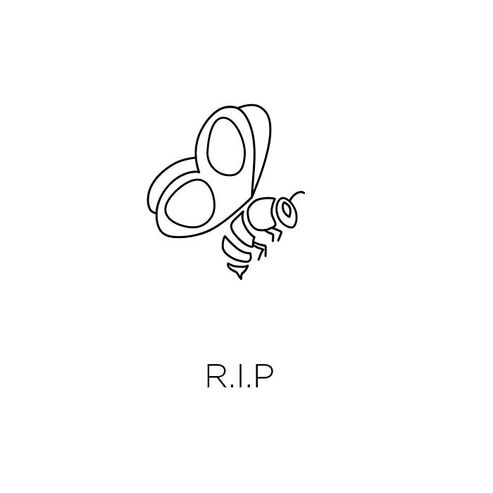 Tribute To Muhammad Ali