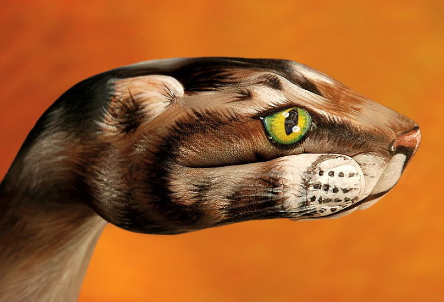 Hand-art Pictures Hand-art Pictures