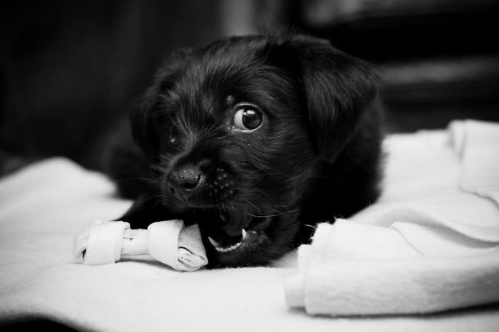 My Best Friend Since Feb, 2012