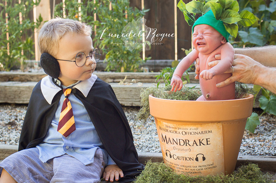 harry-potter-themed-newborn-photography-kelsey-clouse-3 harry-potter-themed-newborn-photography-kelsey-clouse-3
