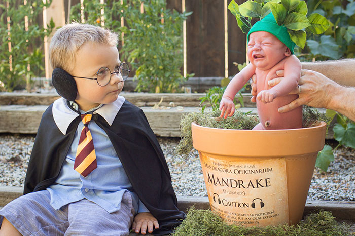 Harry Potter-Themed Newborn Photo Shoot With A Screeching Mandrake Baby Goes Viral