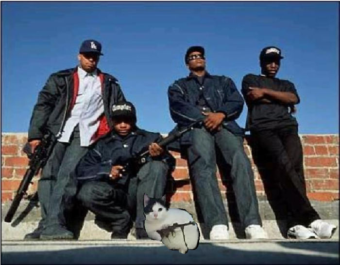 Chillin With My Boyz