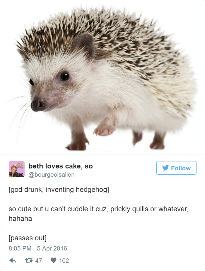 How Hedgehogs Were Created