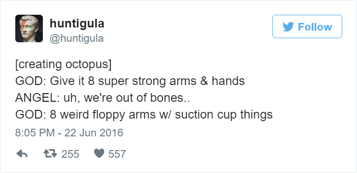 How Octopuses Were Created