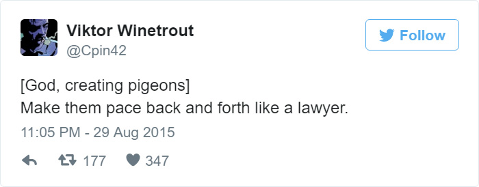 How Pigeons Were Created