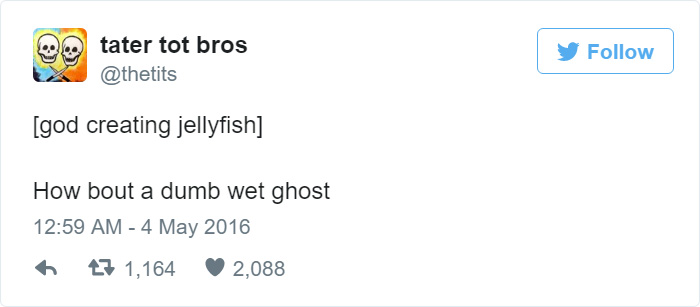 How Jellyfish Were Created