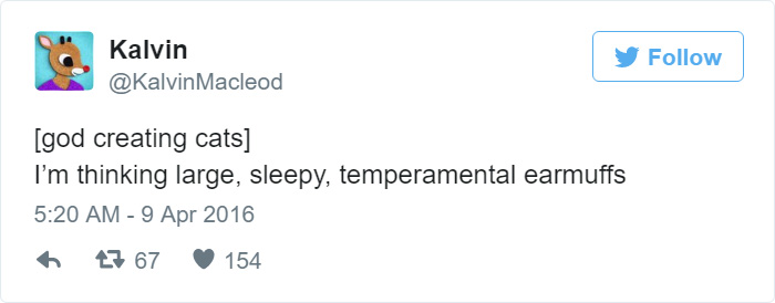 How Cats Were Created