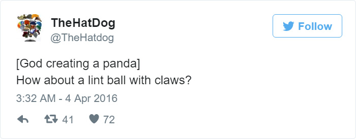 How Pandas Were Created