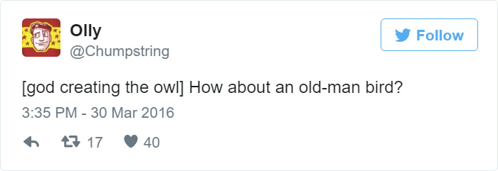 How Owls Were Created