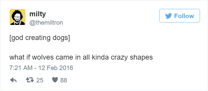 How Dogs Were Created