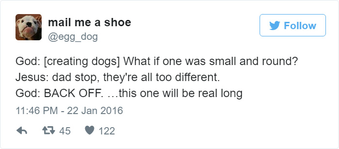 How Dogs Were Created