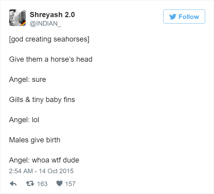 How Seahorses Were Created