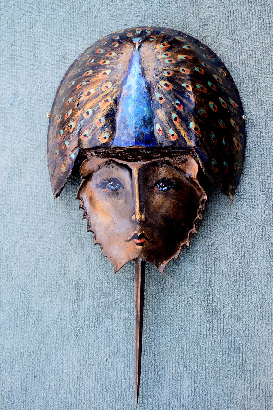 I Create Artwork From Horseshoe Crabs I Create Artwork From Horseshoe Crabs