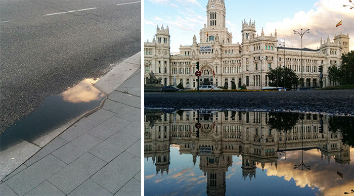 Hidden Parallel Worlds Of Everyday Puddles Captured With My Smartphone