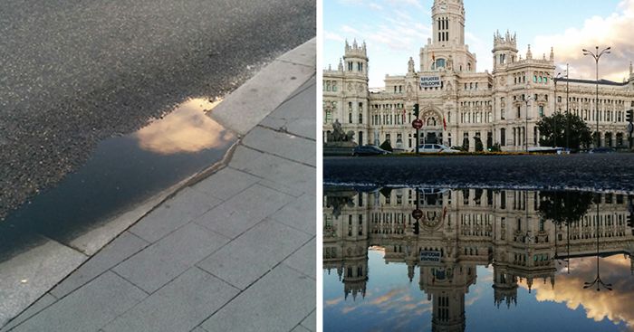 Hidden Parallel Worlds Of Everyday Puddles Captured With My Smartphone