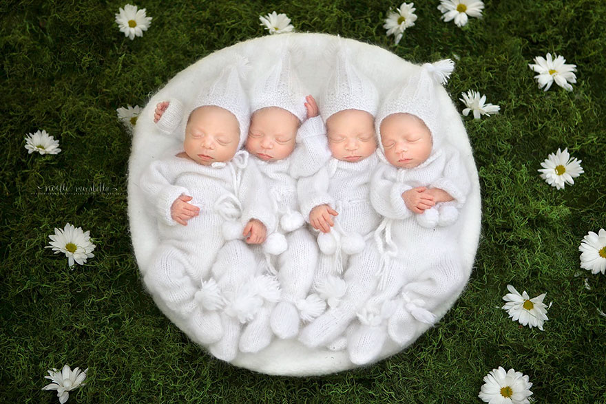 identical-quadruplet-newborn-photography-baby-photoshoot-noelle-mirabella-2 identical-quadruplet-newborn-photography-baby-photoshoot-noelle-mirabella-2