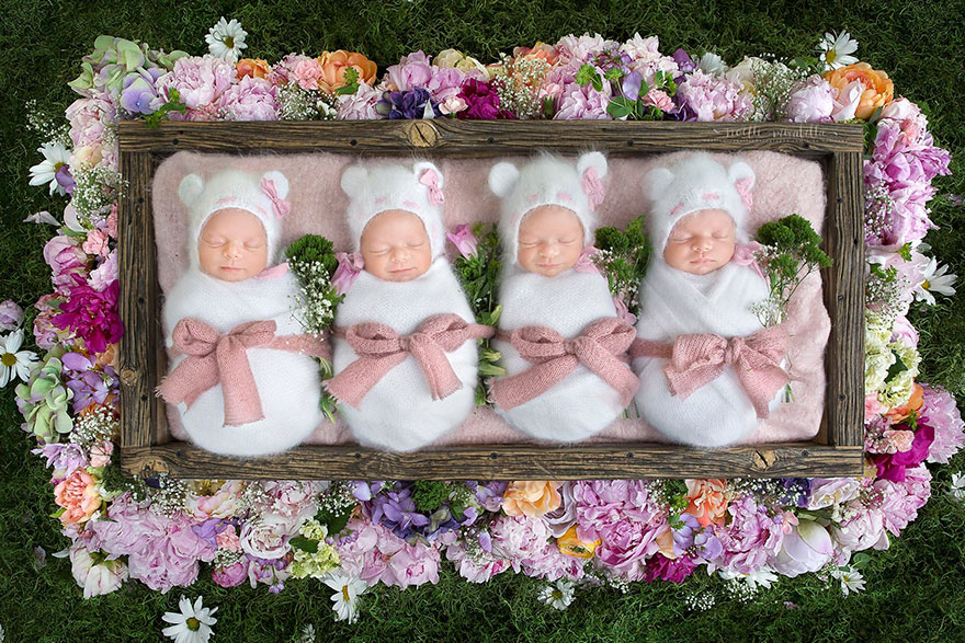identical-quadruplet-newborn-photography-baby-photoshoot-noelle-mirabella-3 identical-quadruplet-newborn-photography-baby-photoshoot-noelle-mirabella-3