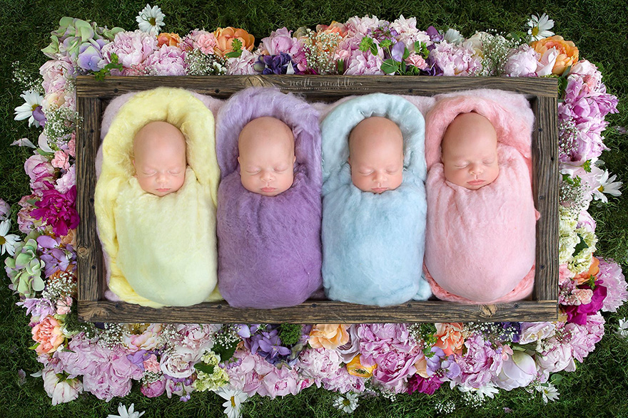 identical-quadruplet-newborn-photography-baby-photoshoot-noelle-mirabella-4 identical-quadruplet-newborn-photography-baby-photoshoot-noelle-mirabella-4