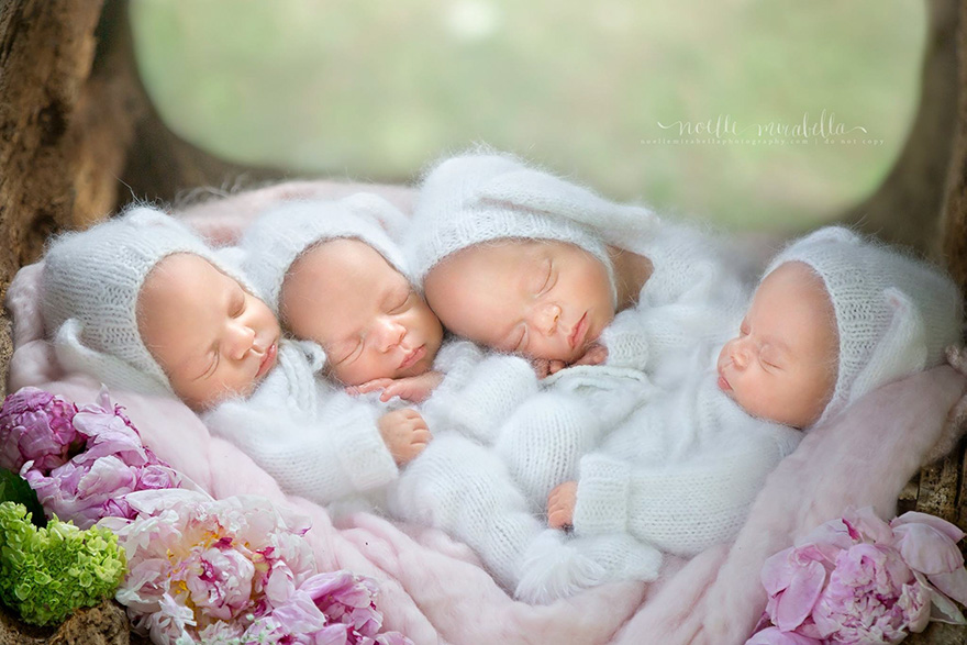 identical-quadruplet-newborn-photography-baby-photoshoot-noelle-mirabella-5 identical-quadruplet-newborn-photography-baby-photoshoot-noelle-mirabella-5