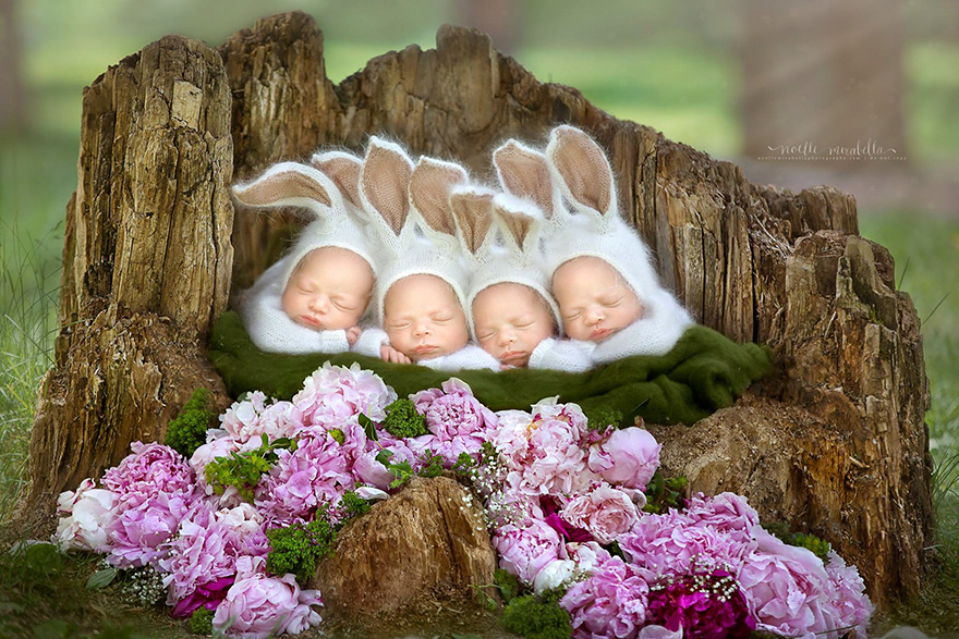 identical-quadruplet-newborn-photography-baby-photoshoot-noelle-mirabella-6 identical-quadruplet-newborn-photography-baby-photoshoot-noelle-mirabella-6
