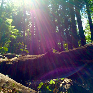 clairejhamilton avatar