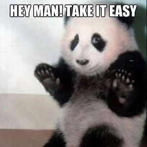 adam_devine29 avatar