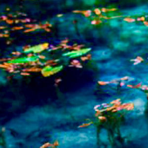 layla-alsaady avatar