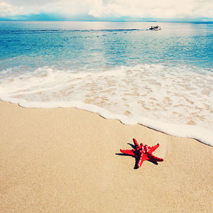 louiselegresley avatar