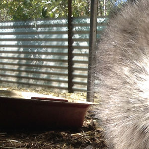 rebeccaboo2323 avatar