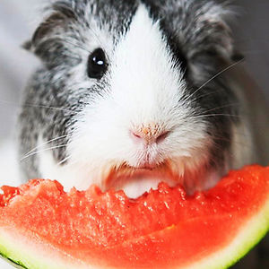 charlottephillips avatar