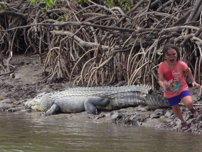 I Guess She Didn't Really Want Those Croc Skin Boots.