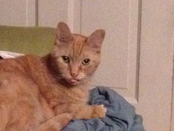 Last Picture I Took Of My Baby Boy. 14 Wonderful Years Together