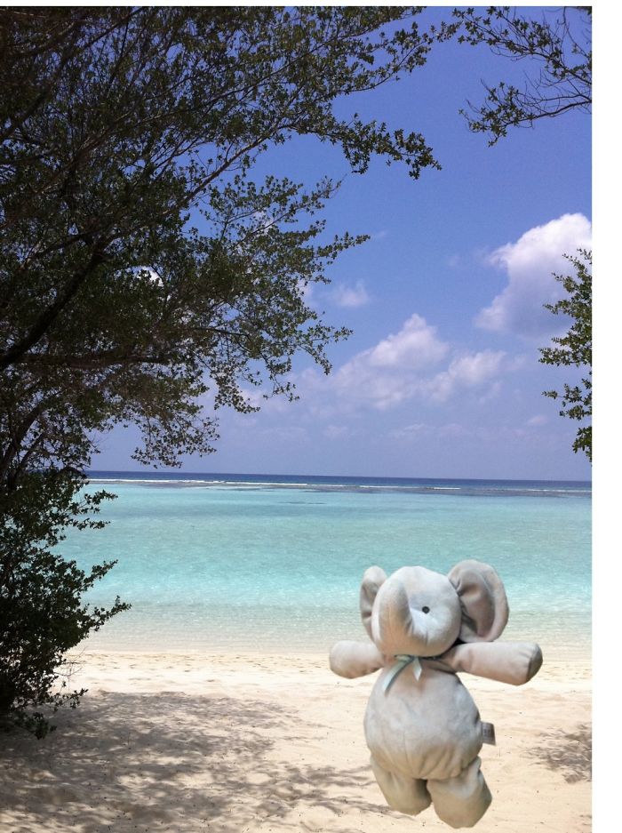 Sunbathing At Palmbeach Resort, Maldives