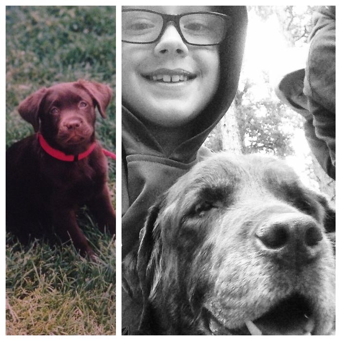 One Last Doggy Selfie...found This On My Phone Taken The Weekend Before We Lost Her