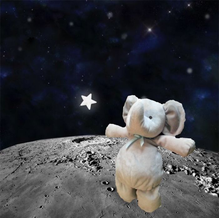 Reaching For The Stars.