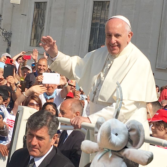 Joined The Pope On Papal Audience At Vatican