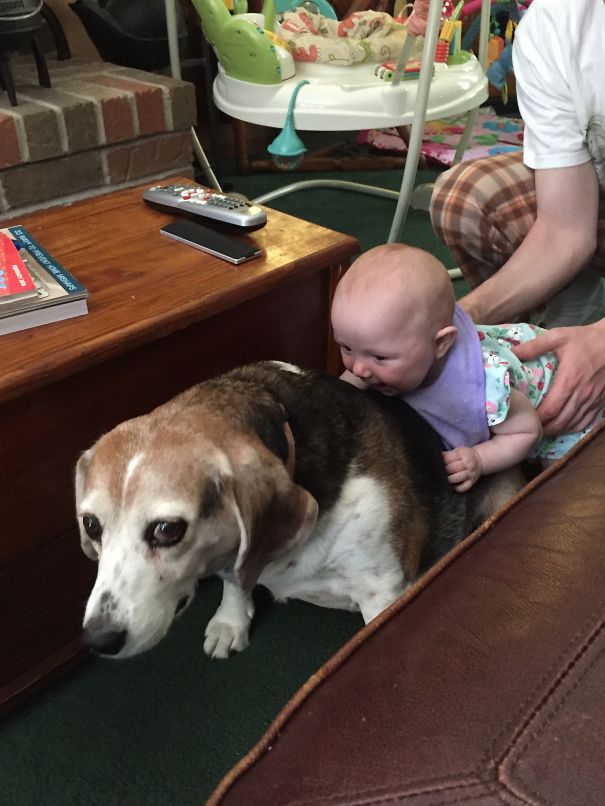 Playing "horse And Cowgirl "...