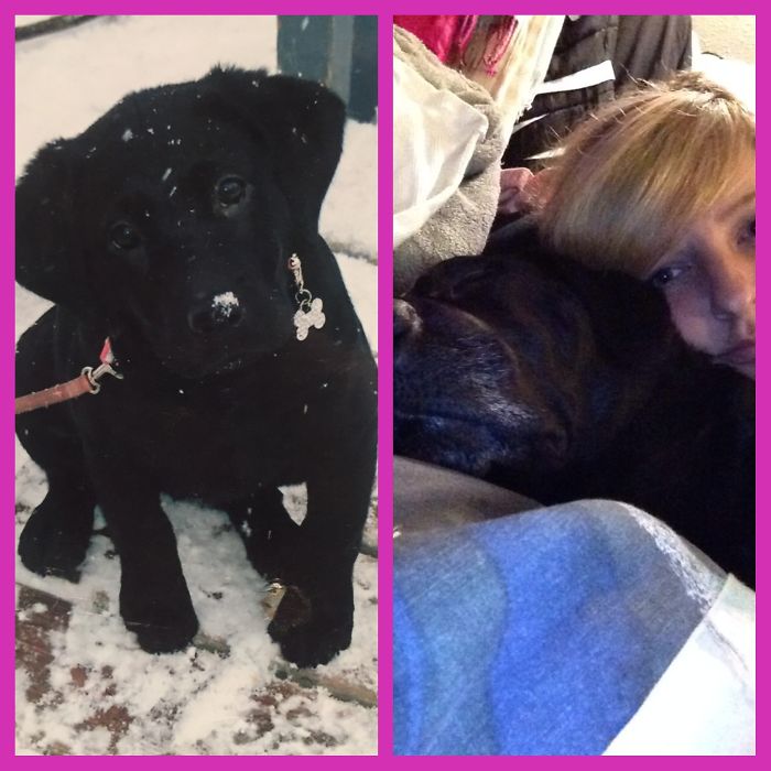 My Baby Lily's First Snowfall With Me And Her Last Day With Me, Cancer Sucks. 1 Month Shy Of 7