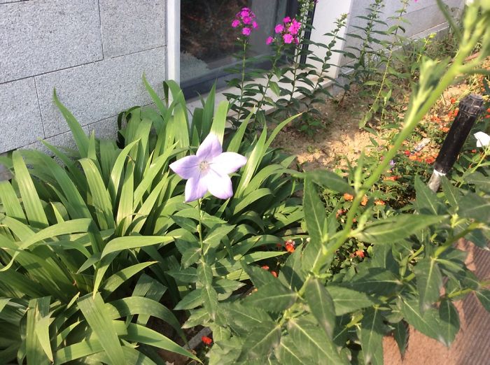 Guan House In Beijing