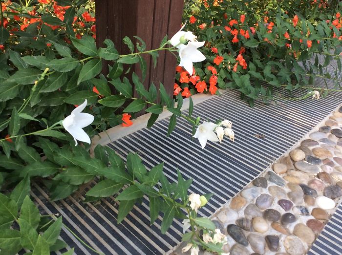 Guan House In Beijing