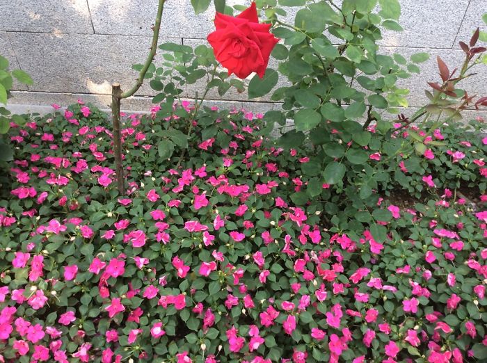 Guan House In Beijing