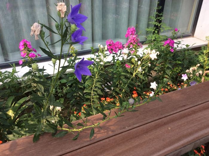 Guan House In Beijing