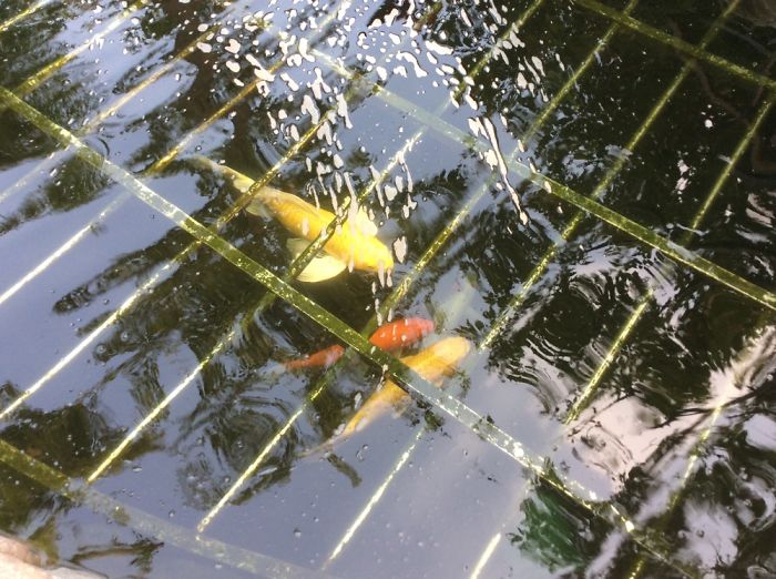 Guan House In Beijing