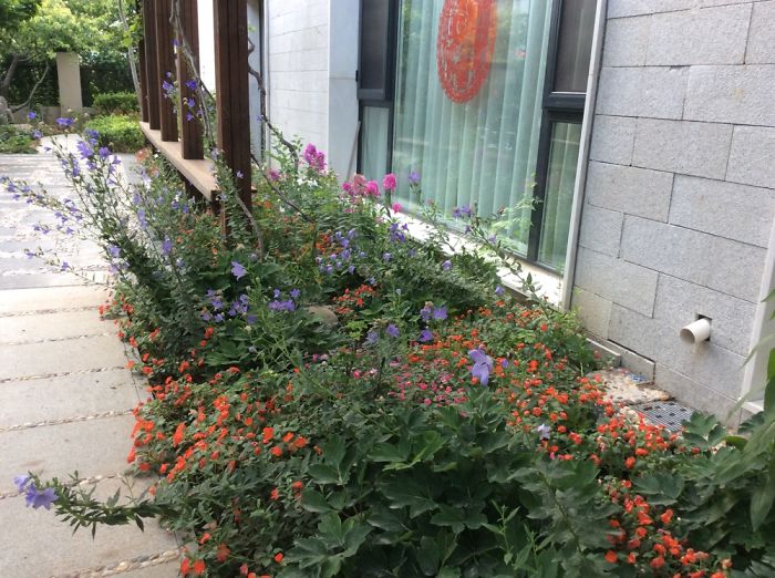 Guan House In Beijing