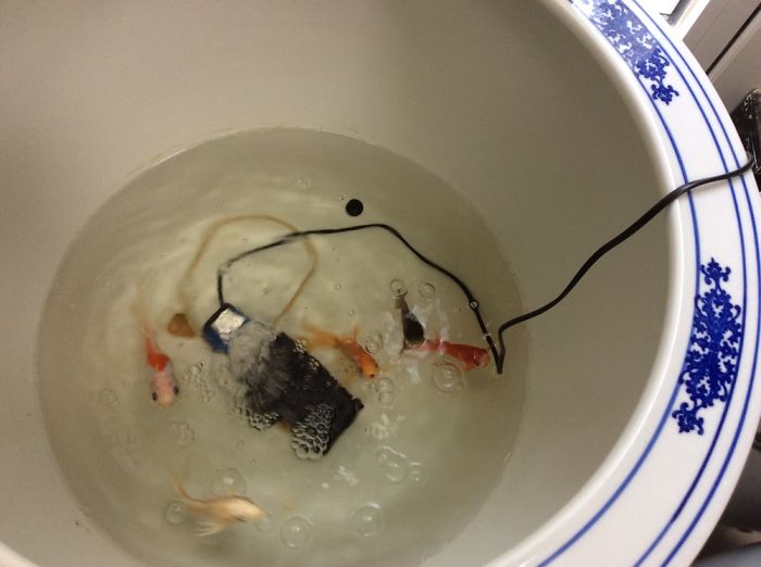 Guan House In Beijing