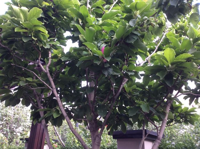 Guan House In Beijing