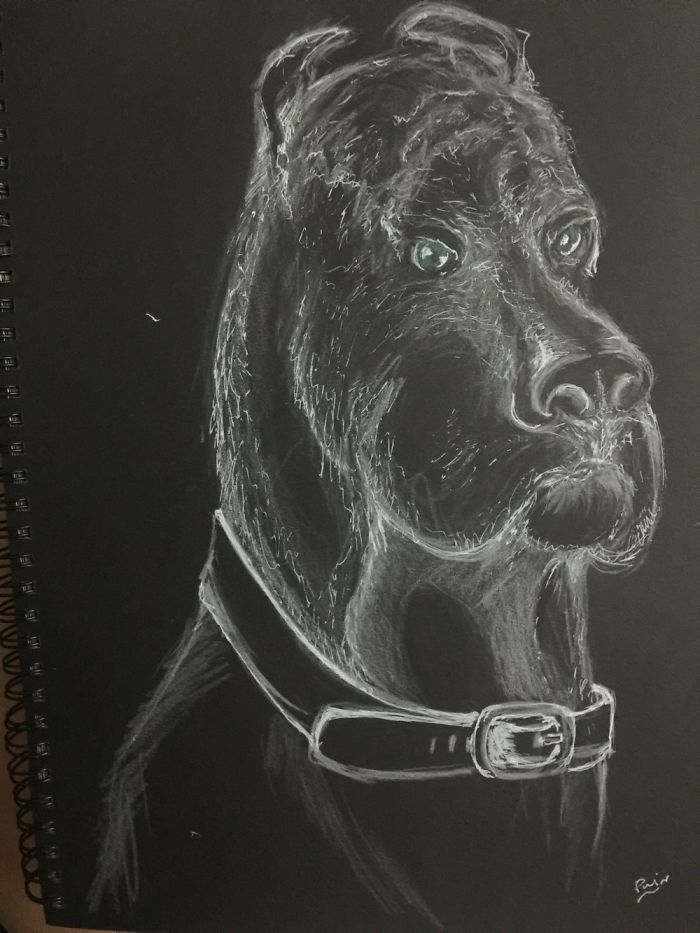 I'm A Self-Taught Artist Who Just Created Her First Sketches