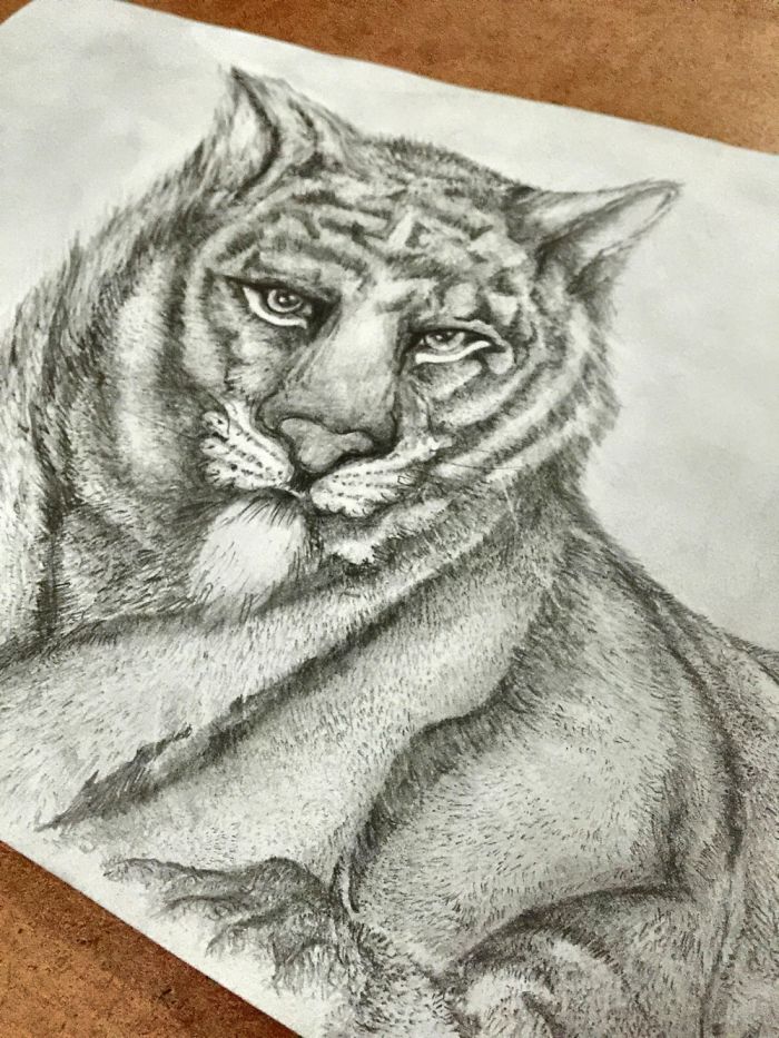 I'm A Self-Taught Artist Who Just Created Her First Sketches